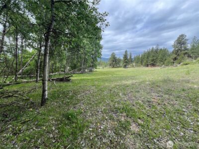 0 Wild Rose Lane , Tonasket, WA 98855 - Photo 26