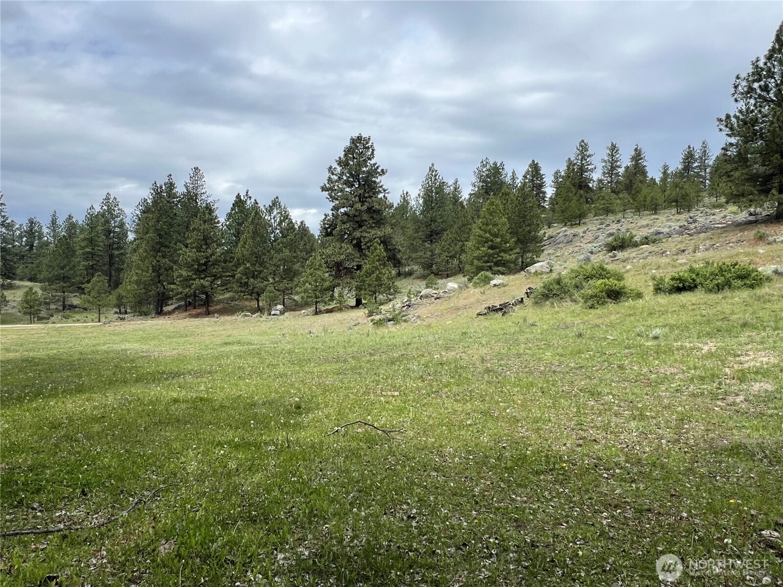 0 Wild Rose Lane , Tonasket, WA 98855