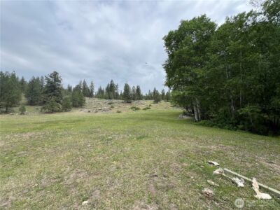 0 Wild Rose Lane , Tonasket, WA 98855 - Photo 28