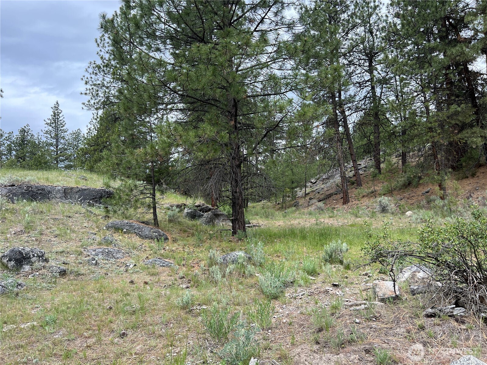 0 Wild Rose Lane , Tonasket, WA 98855