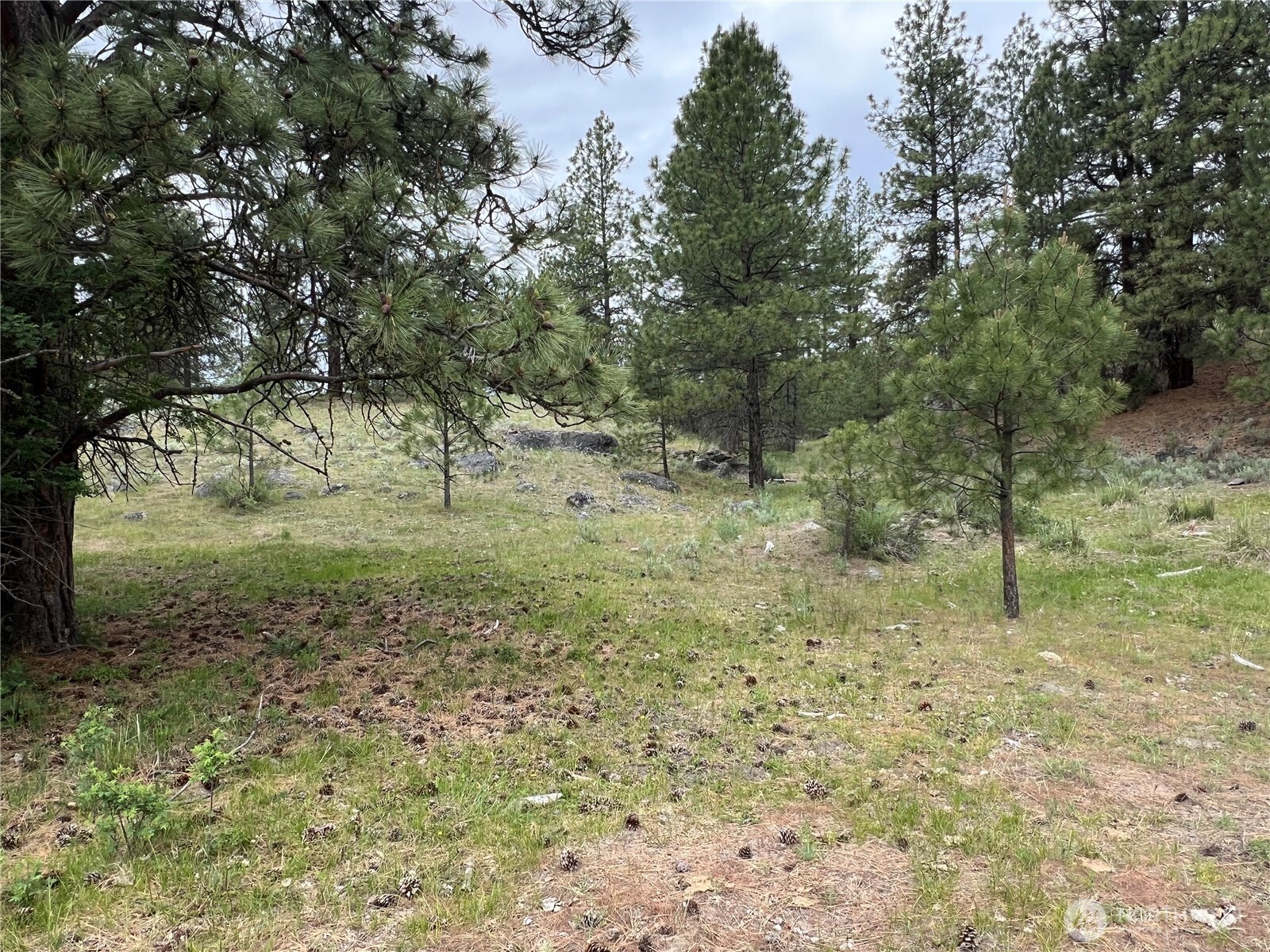 0 Wild Rose Lane , Tonasket, WA 98855