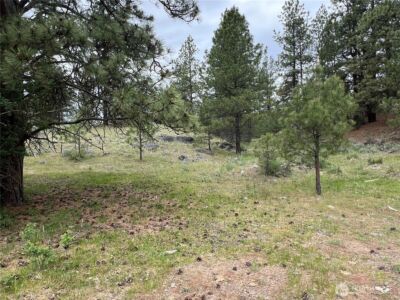 0 Wild Rose Lane , Tonasket, WA 98855 - Photo 30