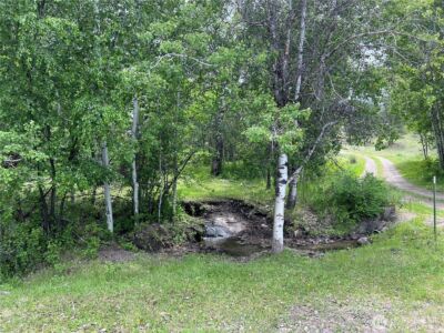 0 Wild Rose Lane , Tonasket, WA 98855 - Photo 3