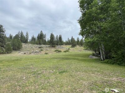 0 Wild Rose Lane , Tonasket, WA 98855 - Photo 31