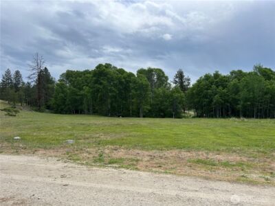 0 Wild Rose Lane , Tonasket, WA 98855 - Photo 32