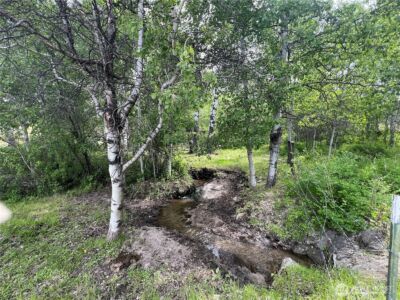 0 Wild Rose Lane , Tonasket, WA 98855 - Photo 5