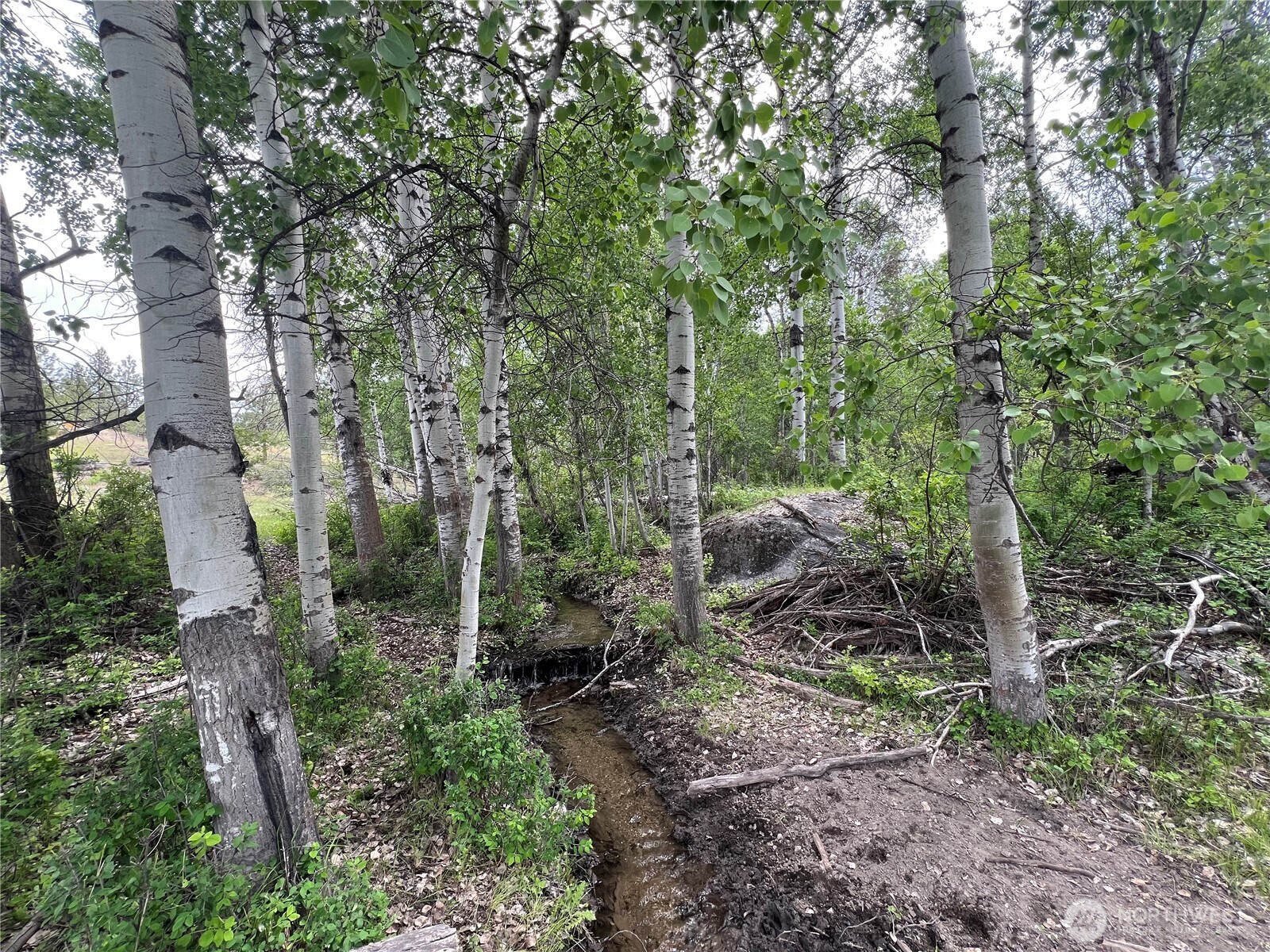 0 Wild Rose Lane , Tonasket, WA 98855