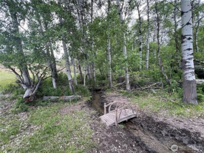 0 Wild Rose Lane , Tonasket, WA 98855 - Photo 7