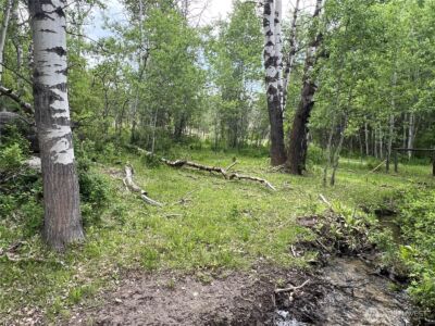 0 Wild Rose Lane , Tonasket, WA 98855 - Photo 8