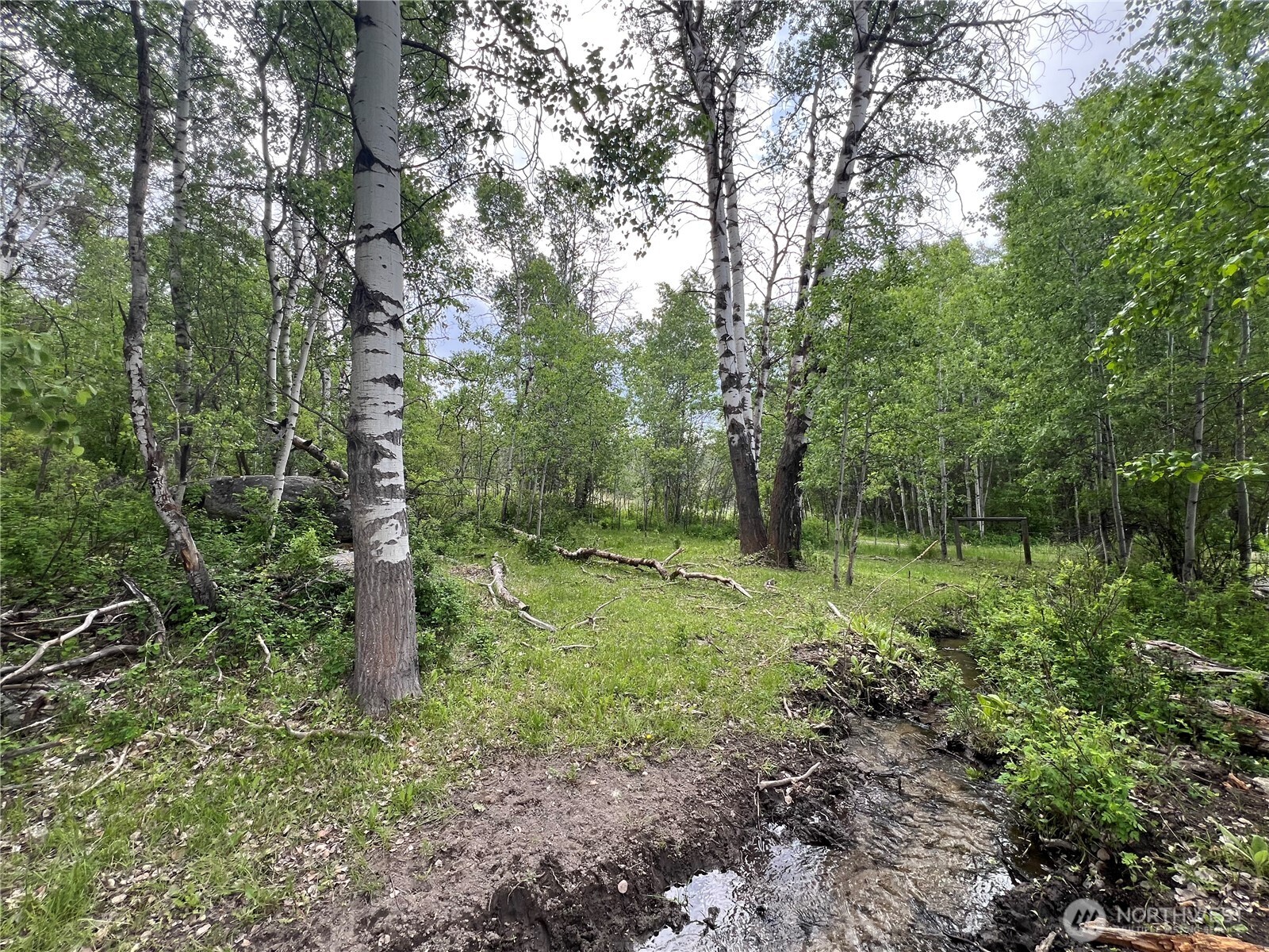 0 Wild Rose Lane , Tonasket, WA 98855