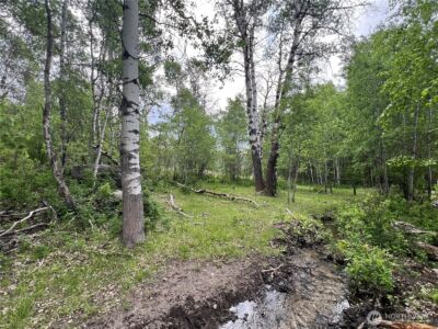 0 Wild Rose Lane , Tonasket, WA 98855 - Photo 9