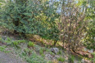 1710 SE Crescent Drive , Shelton, WA 98584 - Photo 4