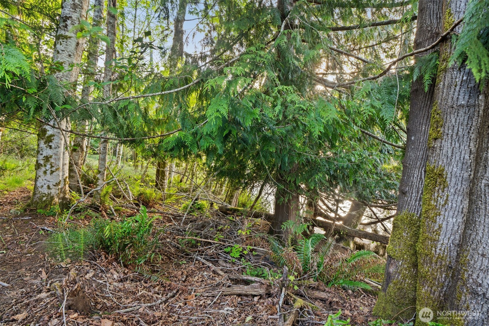 1710 SE Crescent Drive , Shelton, WA 98584