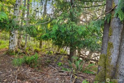 1710 SE Crescent Drive , Shelton, WA 98584 - Photo 5