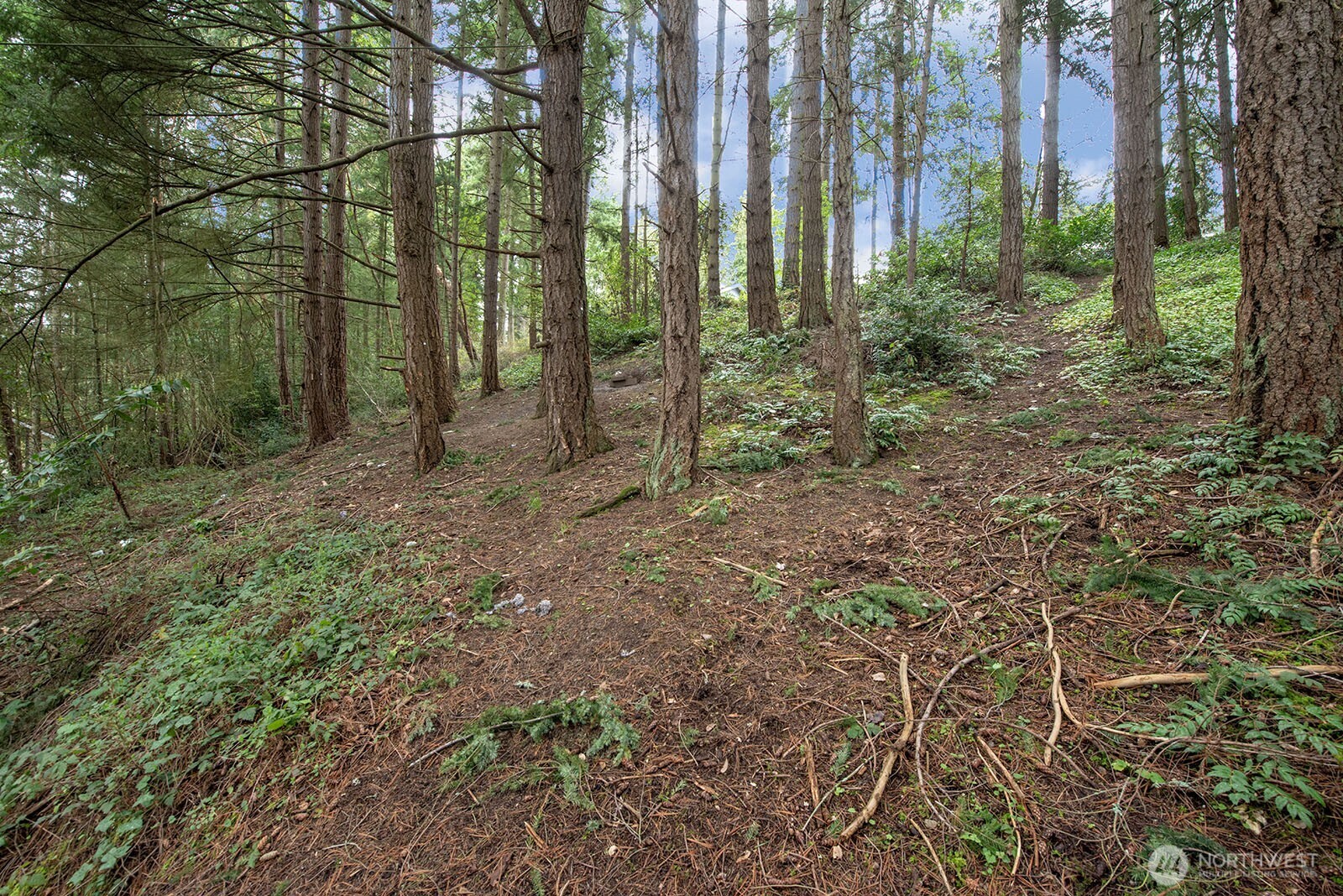 516 North 178th Court , Shoreline, WA 98133