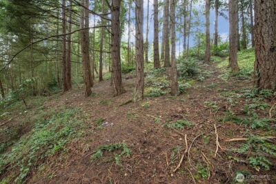 516 North 178th Court , Shoreline, WA 98133 - Photo 3