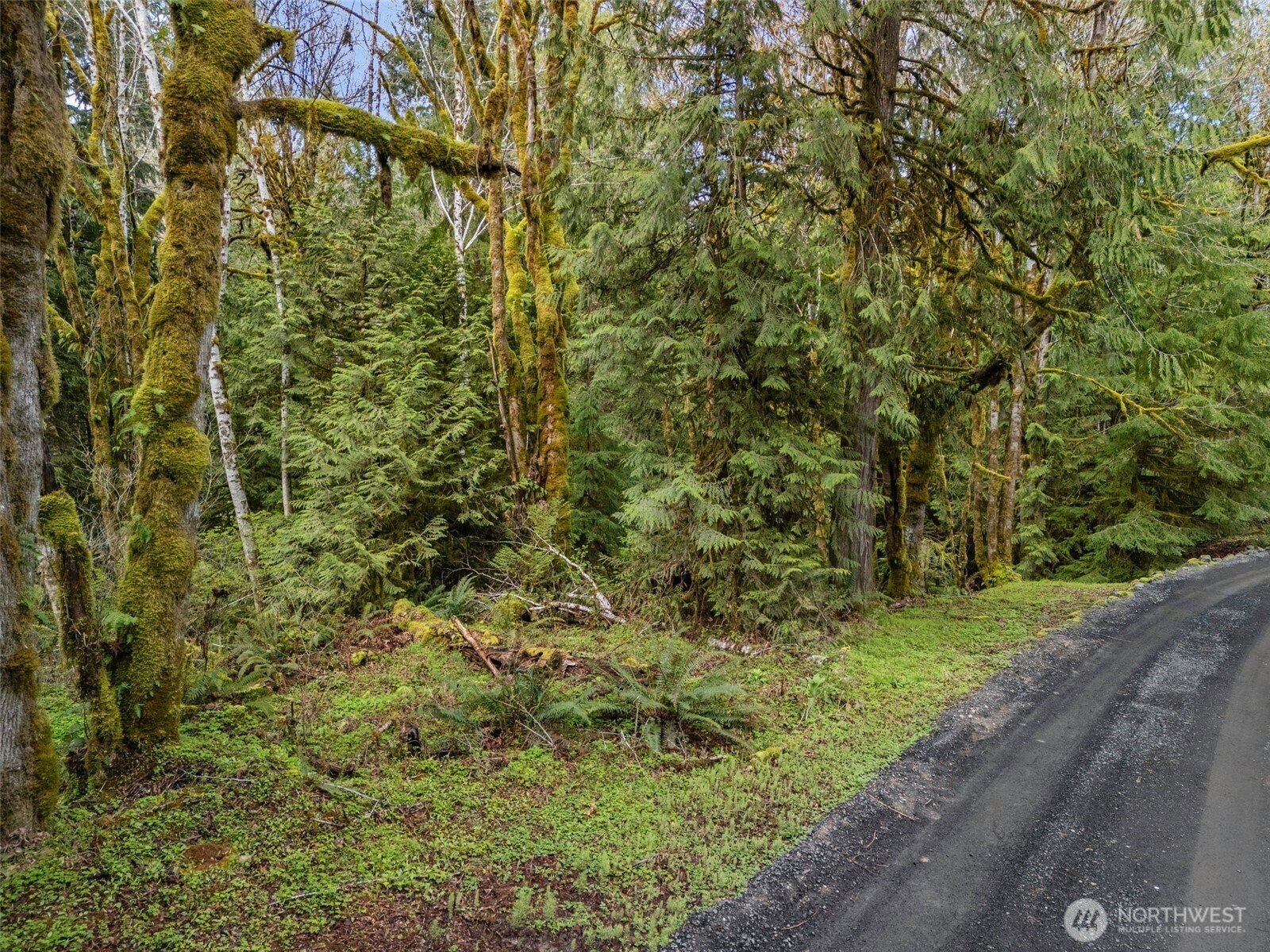 4 XX SE Sea Der Hok Lane , Shelton, WA 98584