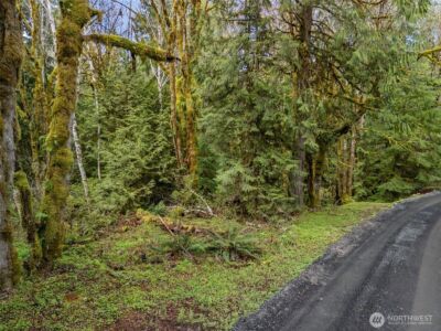 4 XX SE Sea Der Hok Lane , Shelton, WA 98584 - Photo 14
