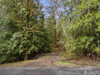 4 XX SE Sea Der Hok Lane , Shelton, WA 98584 - Photo 17