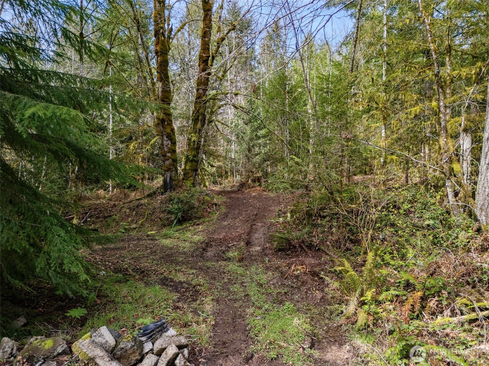 4 XX SE Sea Der Hok Lane , Shelton, WA 98584