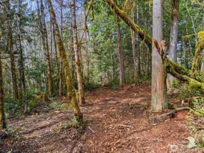 4 XX SE Sea Der Hok Lane , Shelton, WA 98584 - Photo 19