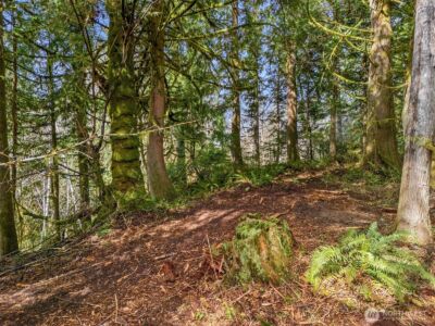 4 XX SE Sea Der Hok Lane , Shelton, WA 98584 - Photo 20