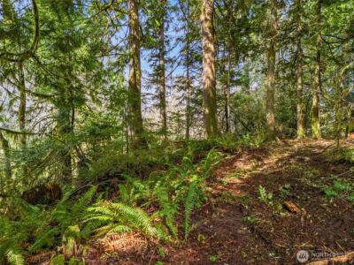 4 XX SE Sea Der Hok Lane , Shelton, WA 98584 - Photo 21