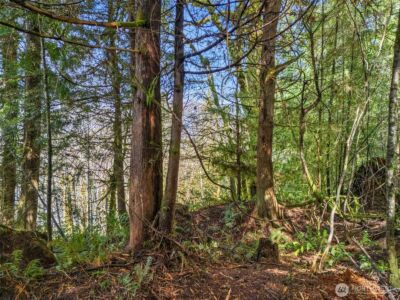 4 XX SE Sea Der Hok Lane , Shelton, WA 98584 - Photo 22