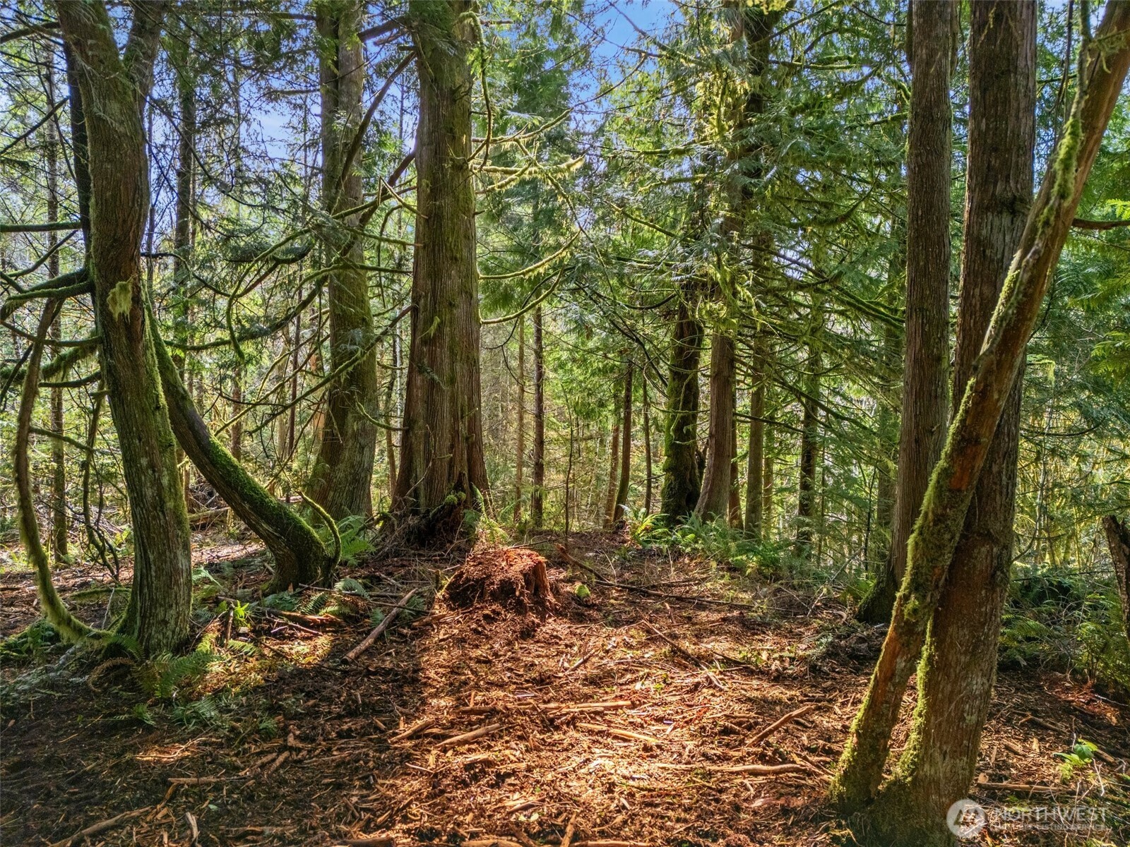 4 XX SE Sea Der Hok Lane , Shelton, WA 98584