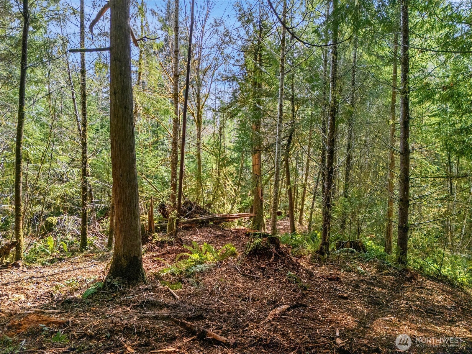 4 XX SE Sea Der Hok Lane , Shelton, WA 98584