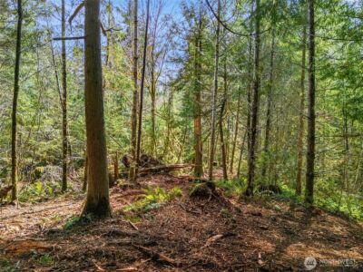 4 XX SE Sea Der Hok Lane , Shelton, WA 98584 - Photo 24