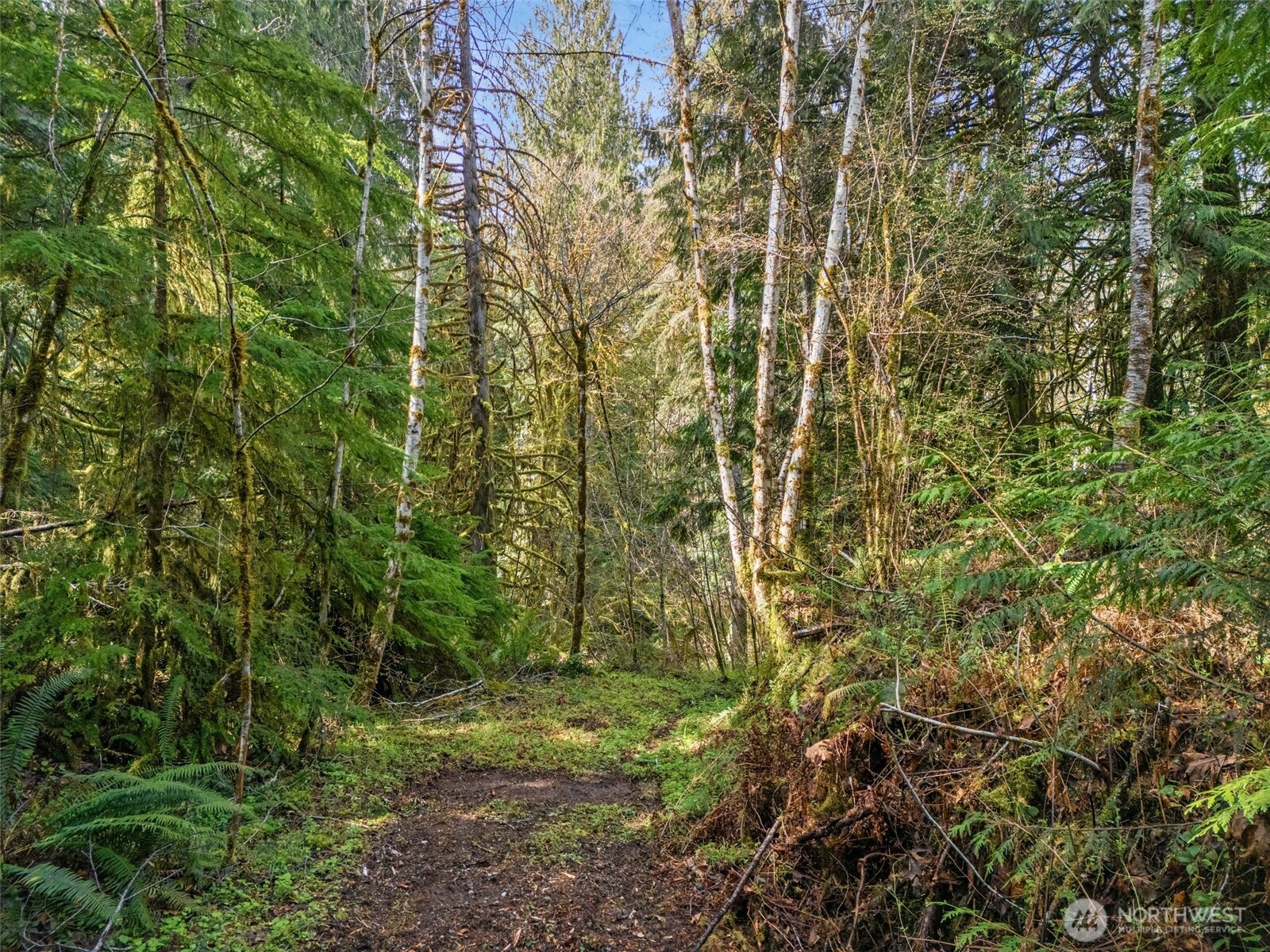 4 XX SE Sea Der Hok Lane , Shelton, WA 98584