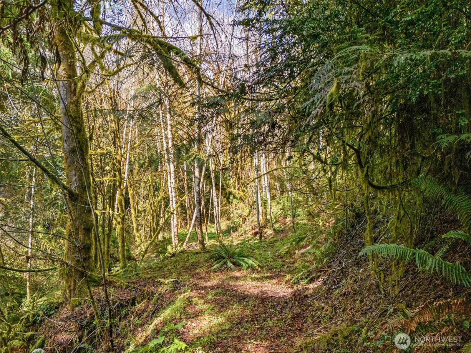 4 XX SE Sea Der Hok Lane , Shelton, WA 98584