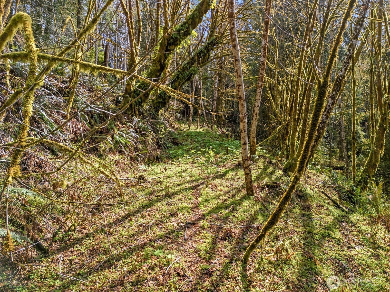 4 XX SE Sea Der Hok Lane , Shelton, WA 98584