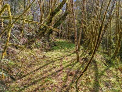 4 XX SE Sea Der Hok Lane , Shelton, WA 98584 - Photo 27