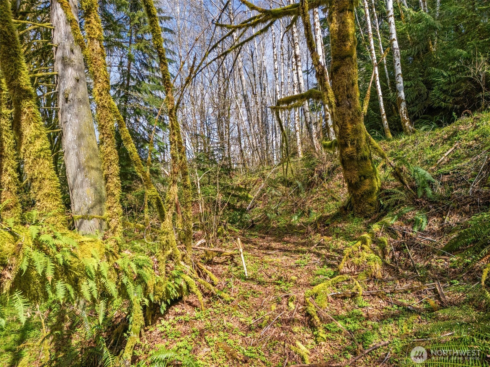 4 XX SE Sea Der Hok Lane , Shelton, WA 98584