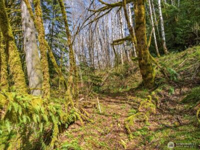 4 XX SE Sea Der Hok Lane , Shelton, WA 98584 - Photo 28