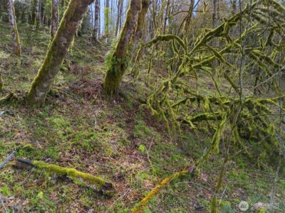 4 XX SE Sea Der Hok Lane , Shelton, WA 98584 - Photo 29