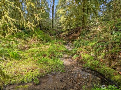 4 XX SE Sea Der Hok Lane , Shelton, WA 98584 - Photo 30