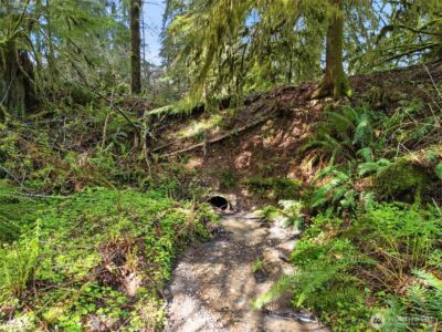 4 XX SE Sea Der Hok Lane , Shelton, WA 98584 - Photo 31