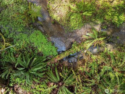 4 XX SE Sea Der Hok Lane , Shelton, WA 98584 - Photo 32