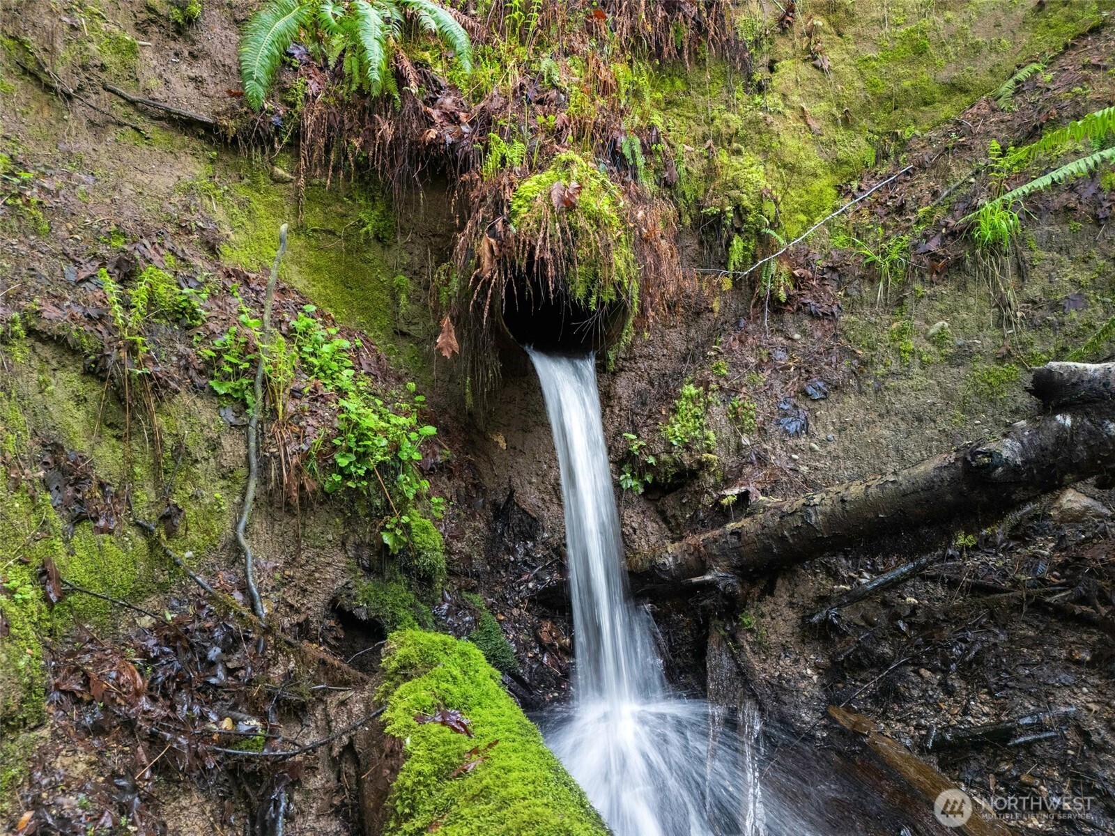 4 XX SE Sea Der Hok Lane , Shelton, WA 98584