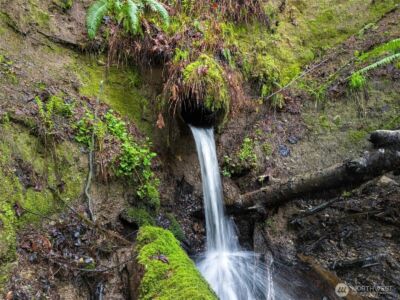 4 XX SE Sea Der Hok Lane , Shelton, WA 98584 - Photo 33