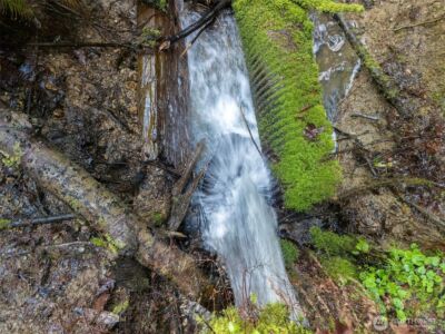 4 XX SE Sea Der Hok Lane , Shelton, WA 98584 - Photo 34