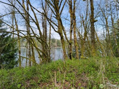 4 XX SE Sea Der Hok Lane , Shelton, WA 98584 - Photo 35