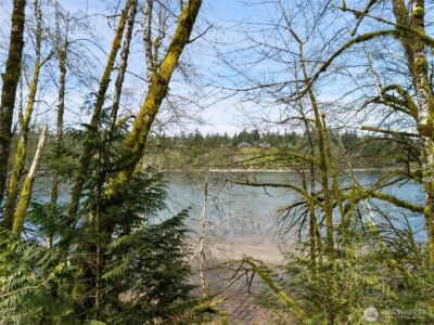 4 XX SE Sea Der Hok Lane , Shelton, WA 98584 - Photo 36