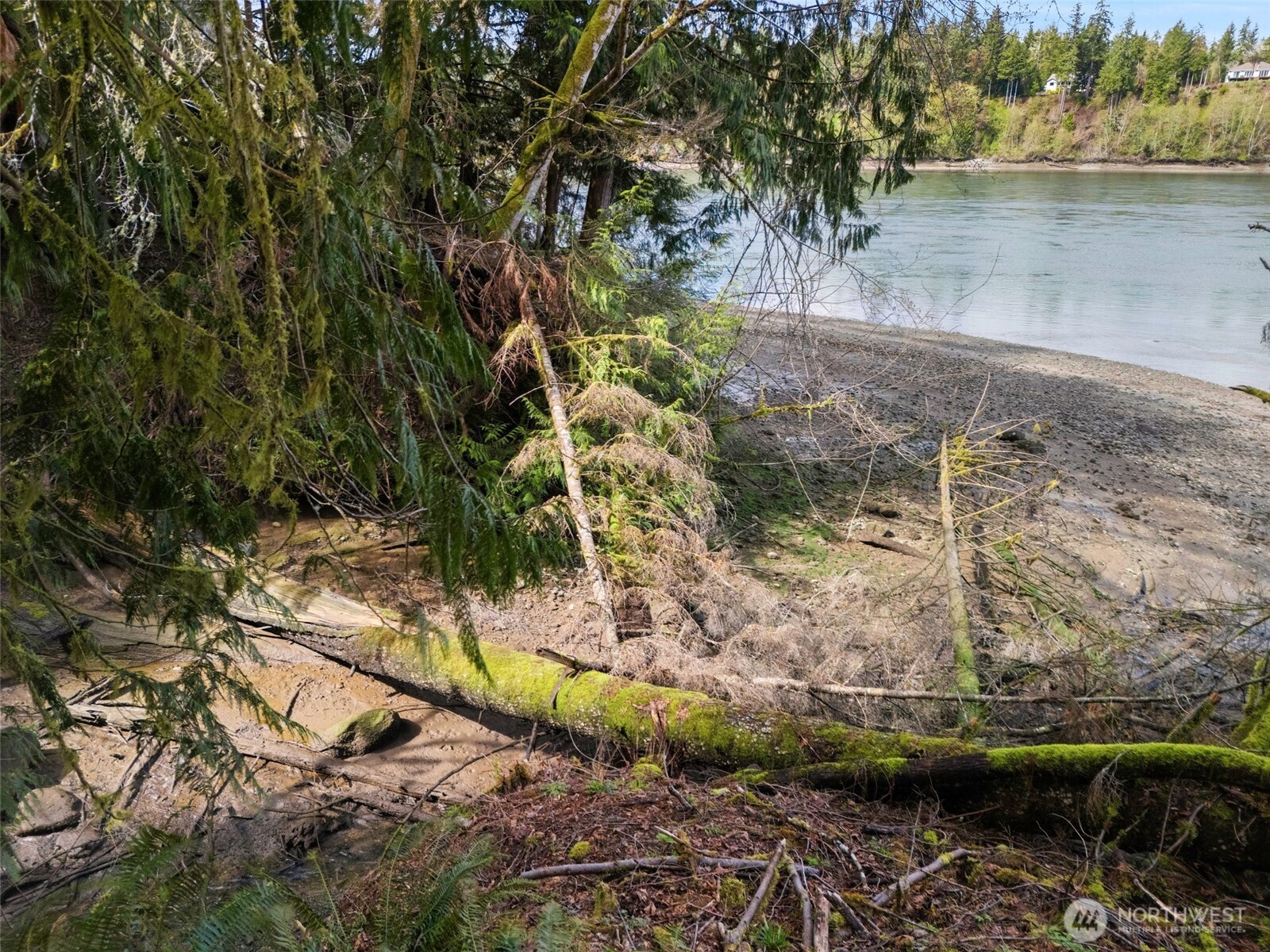 4 XX SE Sea Der Hok Lane , Shelton, WA 98584