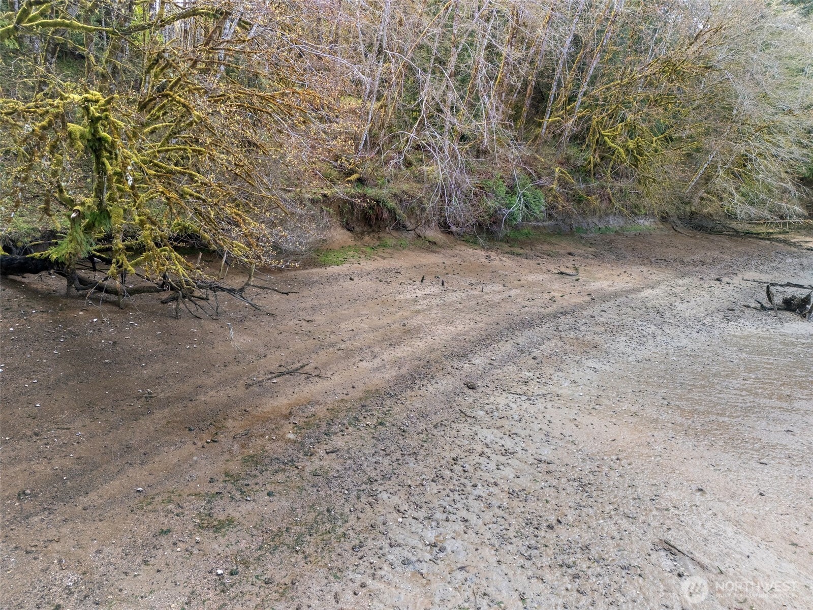 4 XX SE Sea Der Hok Lane , Shelton, WA 98584