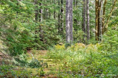 1350 N Hilltop Loop Road , Hoodsport, WA 98548 - Photo 11