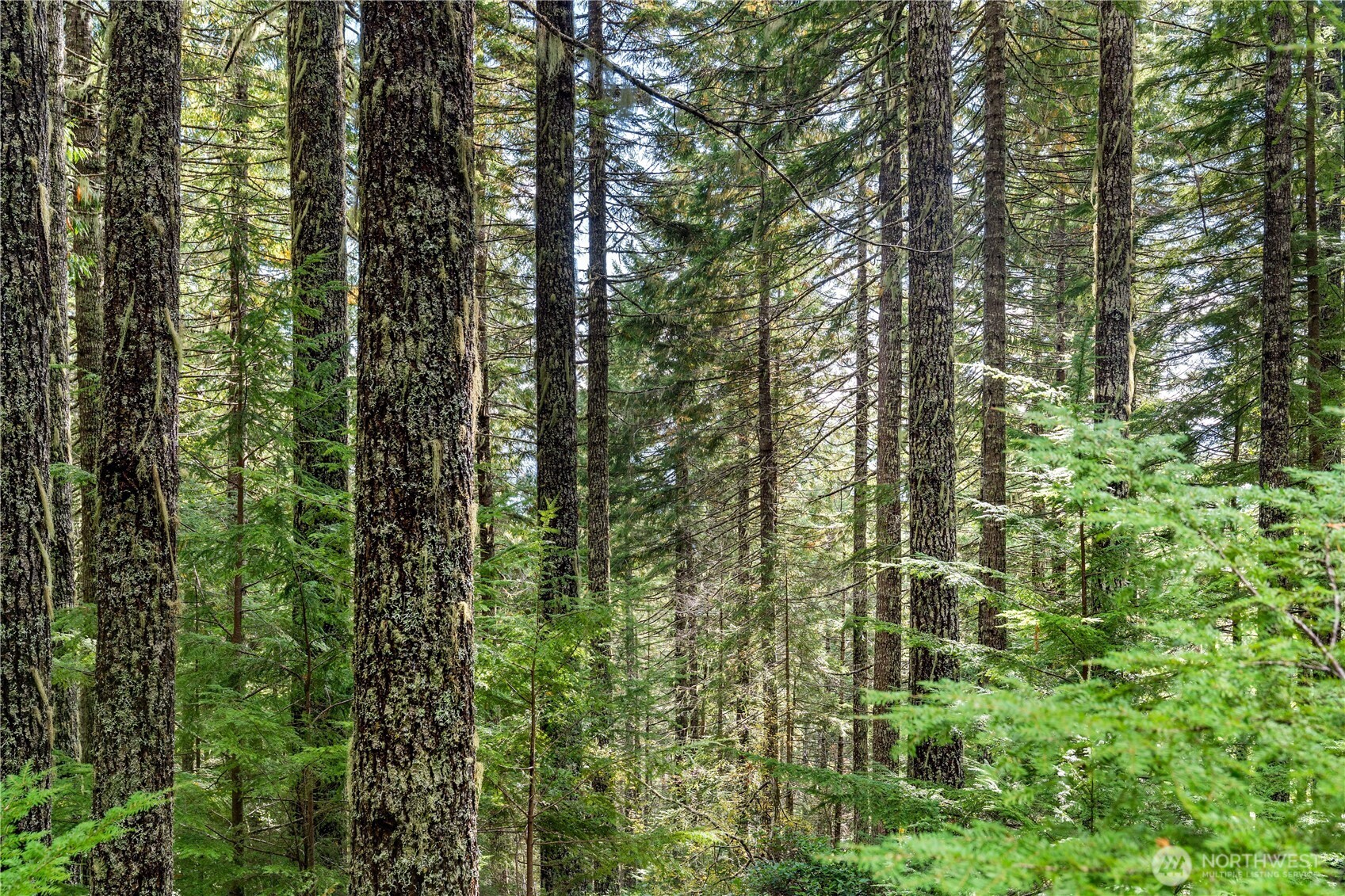 1350 N Hilltop Loop Road , Hoodsport, WA 98548